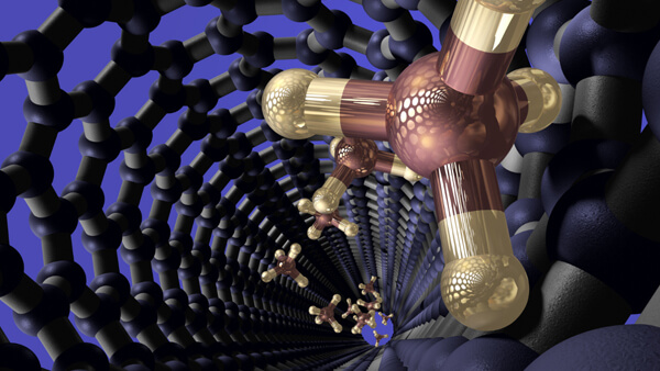 Carbon Nanotubes, Carbon Onions & Graphene